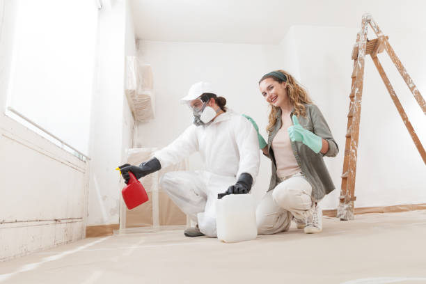 Best Emergency Mold Remediation  in Bellefontaine, OH